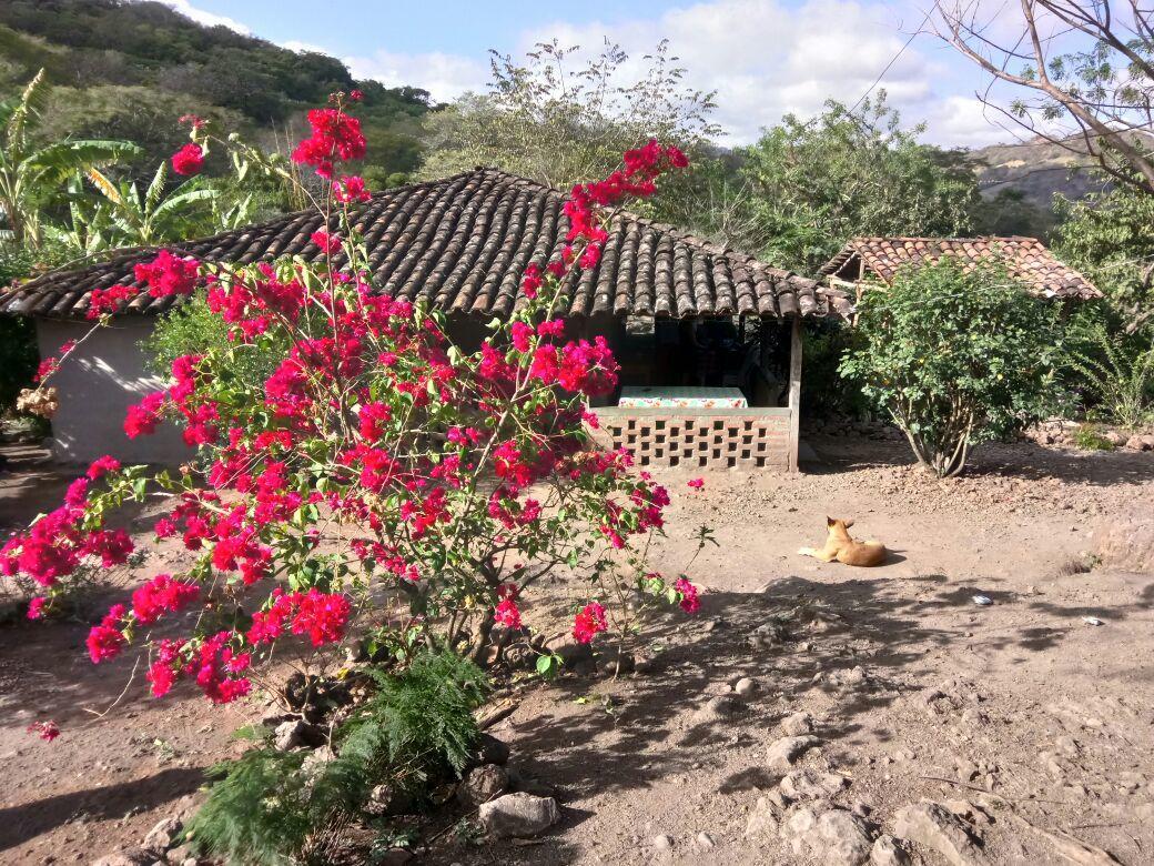 Maison d'hôtes La Ceibita Tours à Los Potrerillos Extérieur photo